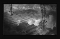 241 - REFLECTION - BALAR VIRAL - india <div